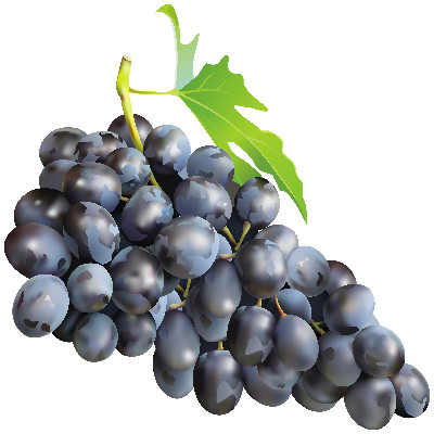 IMAGE OF GRAPES