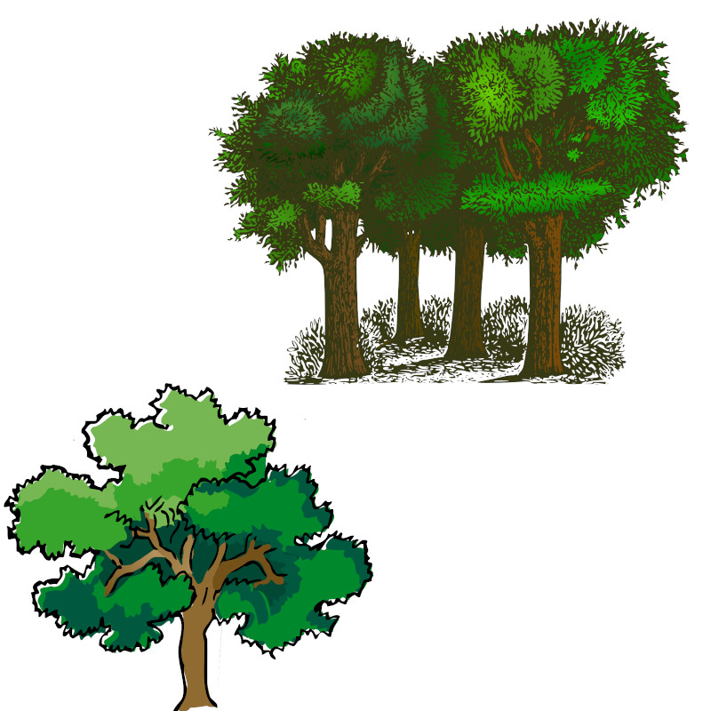 IMAGE OF TREE-TREES