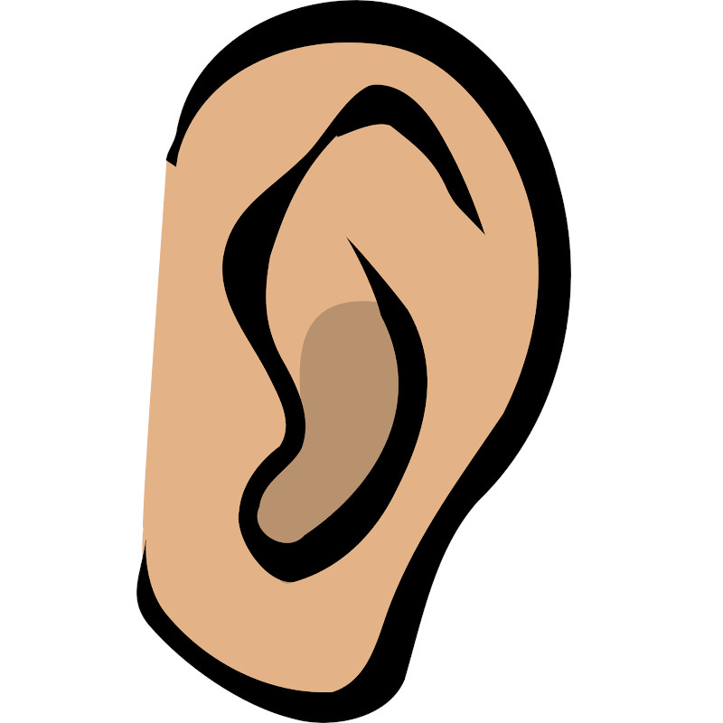 IMAGE OF EAR