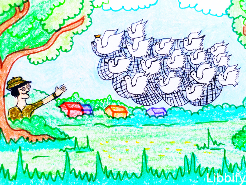 புறாக்களும் வேடனும் | The Dove and the hunter | picture book in tamil |  tamil story books for kids