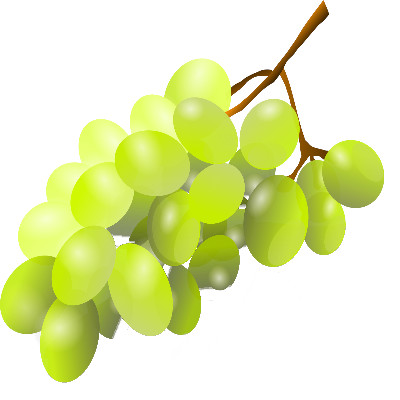 IMAGE OF GRAPES