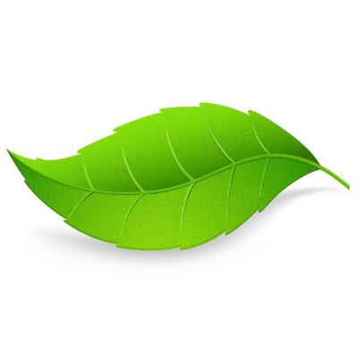 IMAGE OF LEAF