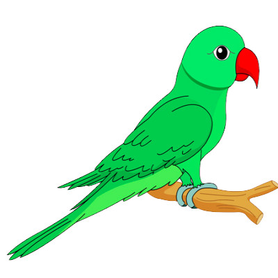 IMAGE OF PARROT