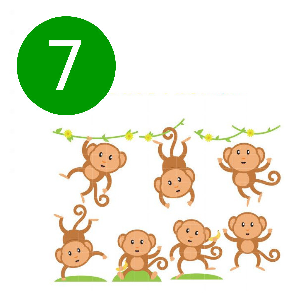 IMAGE OF SEVEN