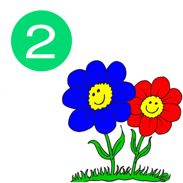 IMAGE OF TWO