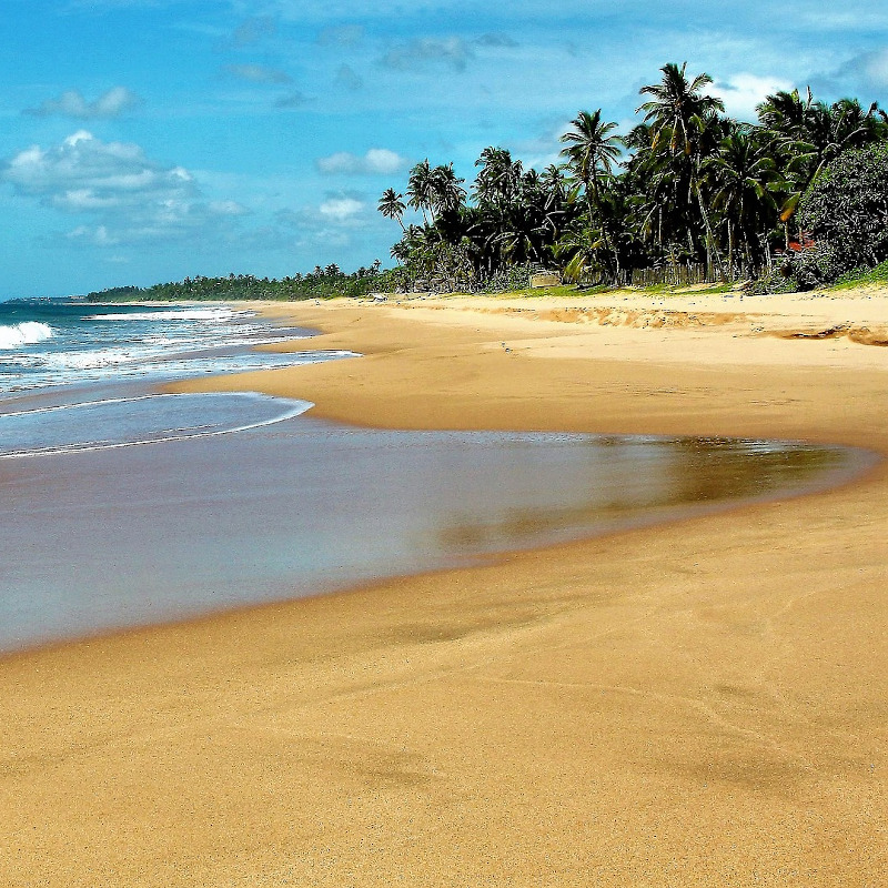 IMAGE OF BEACH