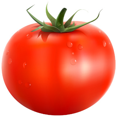 IMAGE OF TOMATO