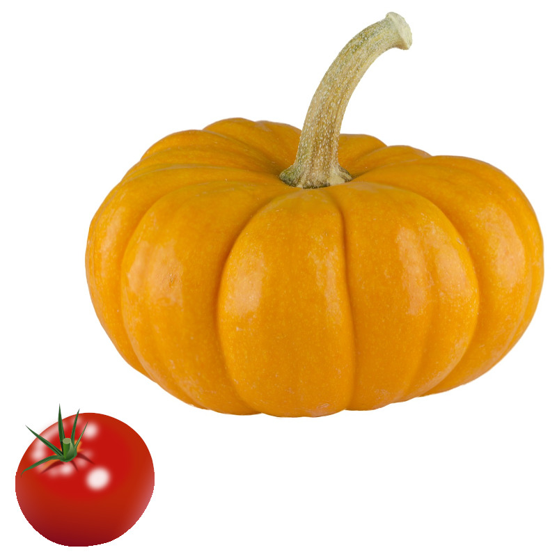 IMAGE OF PUMPKIN-TOMATO