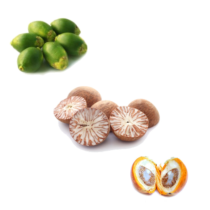 IMAGE OF BETELNUT