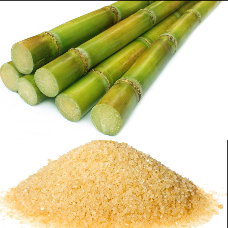 IMAGE OF SUGAR-CANE
