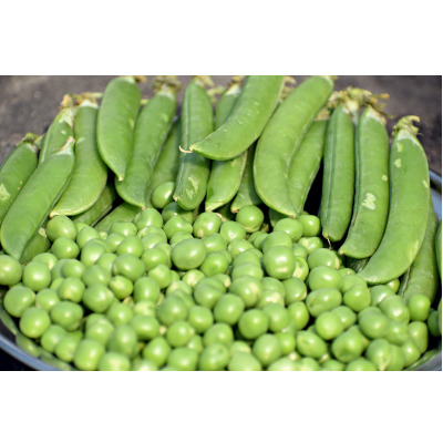 IMAGE OF GREEN-PEAS