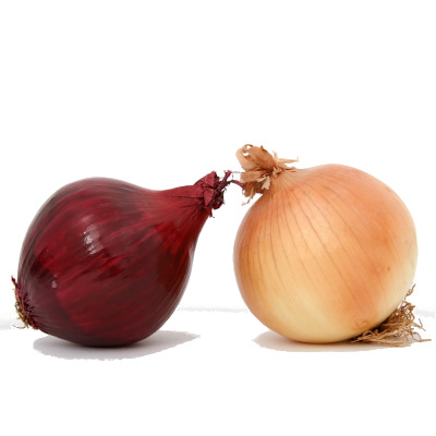 IMAGE OF ONION