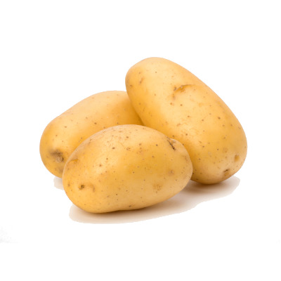 IMAGE OF POTATO