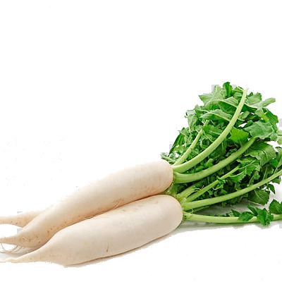 IMAGE OF RADISH