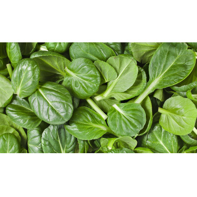 IMAGE OF SPINACH
