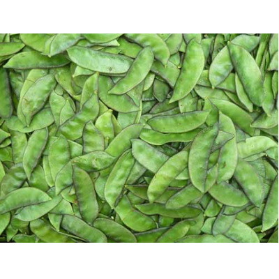IMAGE OF BROAD-BEANS