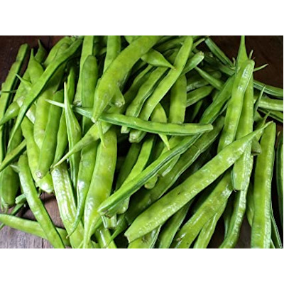 IMAGE OF CLUSTER-BEANS
