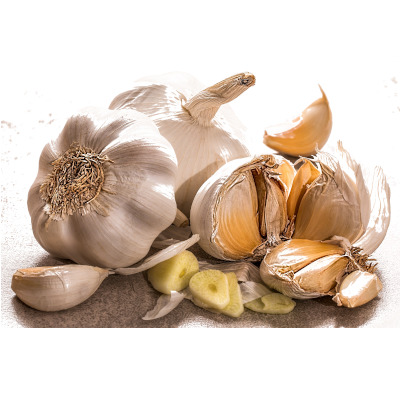 IMAGE OF GARLIC