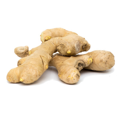 IMAGE OF GINGER