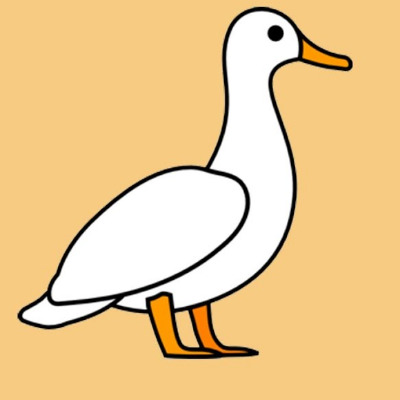 IMAGE OF DUCK