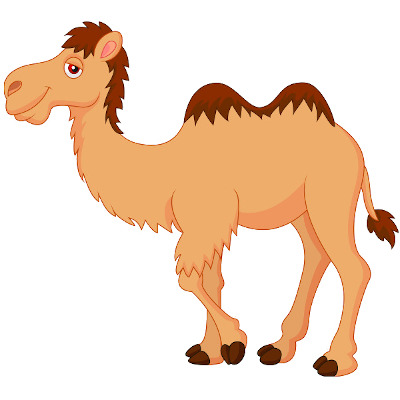 IMAGE OF CAMEL