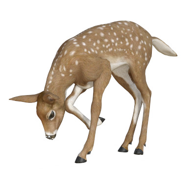 IMAGE OF DEER