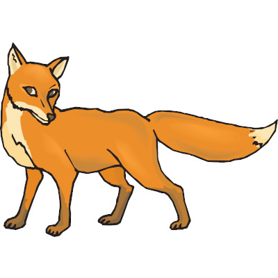 IMAGE OF FOX