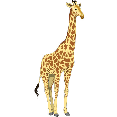 IMAGE OF GIRAFFE