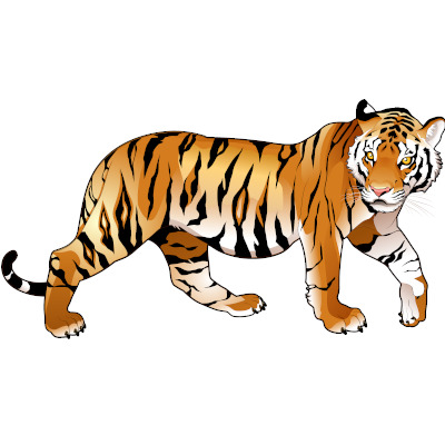 IMAGE OF TIGER