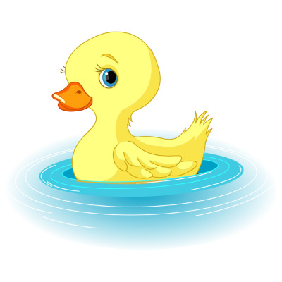 IMAGE OF DUCK
