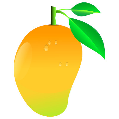 IMAGE OF MANGO